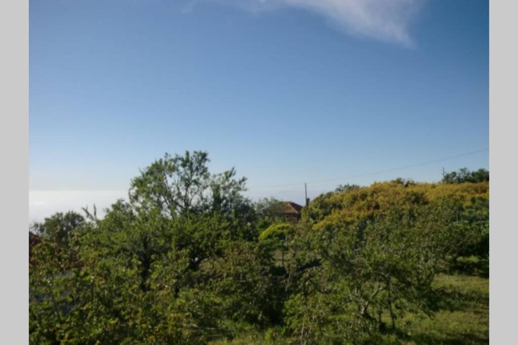 Casa Corea 2 Puntagorda Екстериор снимка